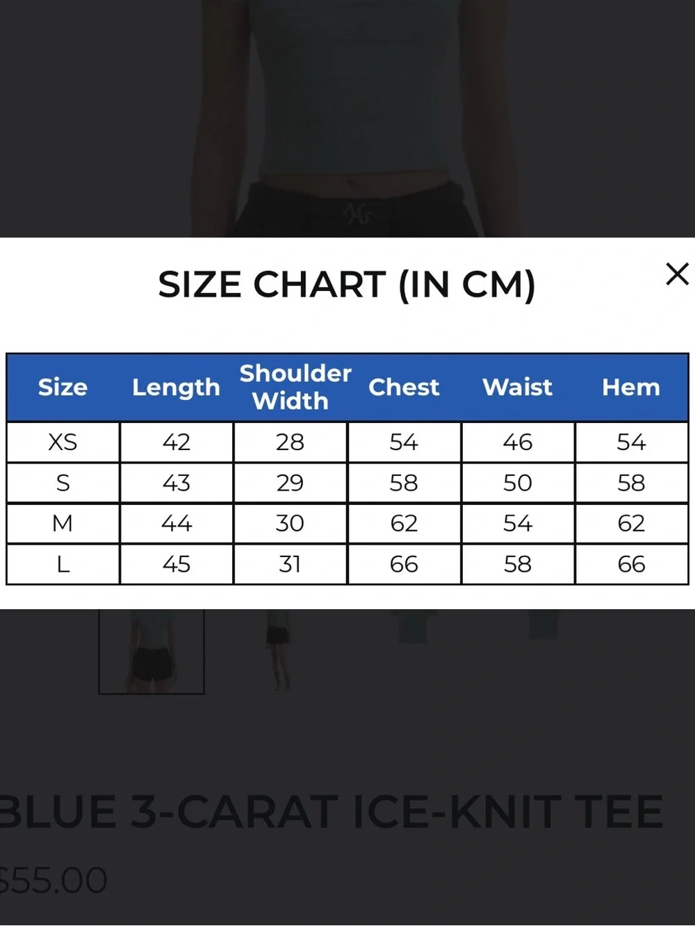 NAWS (NOTAWEAR) BLUE 3-CARAT ICE-KNIT TEE